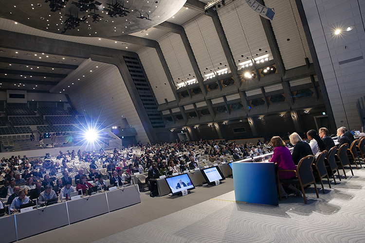 Changement Climatique /  49ème session du Groupe d’Experts Intergouvernemental sur l'Evolution du Climat (GIEC-49)